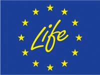 Life Logo