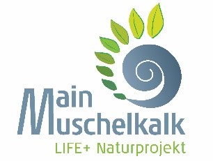 Mainmuschelkalk