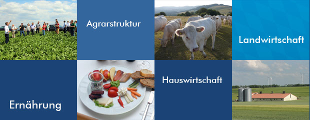 Titelbild: Tätigkeitsfelder Ernährung und Landwirtschaft